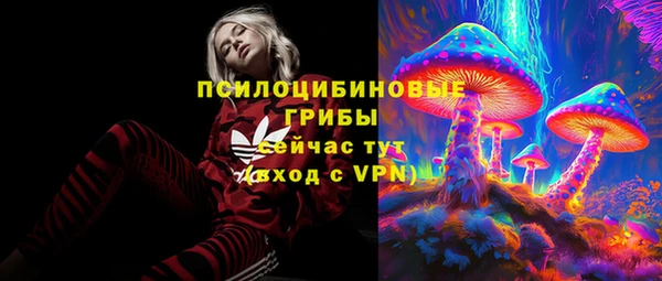 стафф Алзамай