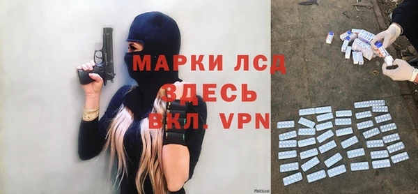 стафф Алзамай